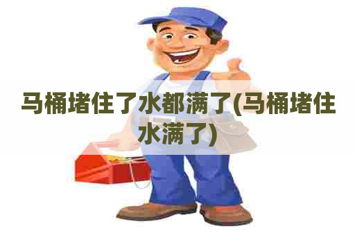 马桶堵住了水都满了(马桶堵住水满了) 马桶堵住了水都满了(马桶堵住水满了)