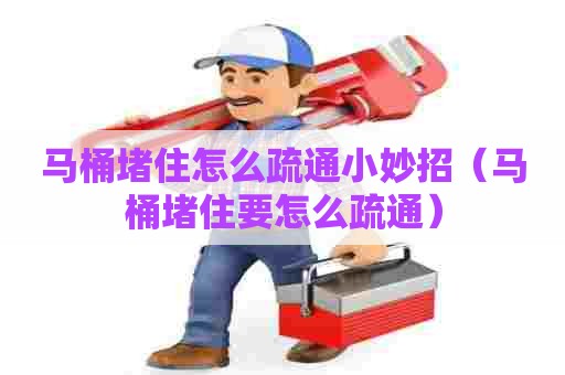 马桶堵住怎么疏通小妙招（马桶堵住要怎么疏通）