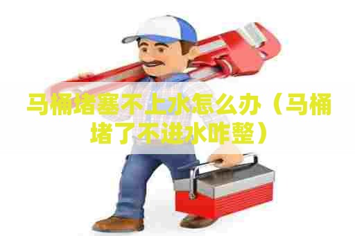 马桶堵塞不上水怎么办（马桶堵了不进水咋整）