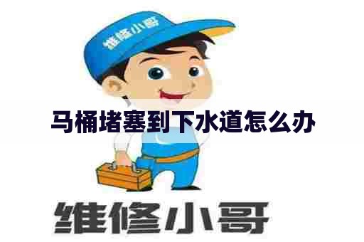 马桶堵塞到下水道怎么办