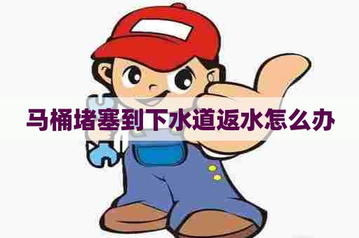 马桶堵塞到下水道返水怎么办