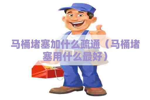 马桶堵塞加什么疏通（马桶堵塞用什么最好）