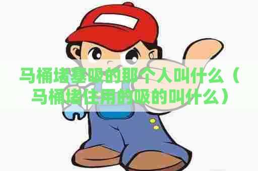 马桶堵塞吸的那个人叫什么（马桶堵住用的吸的叫什么）