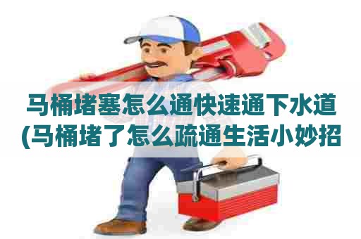 马桶堵塞怎么通快速通下水道(马桶堵了怎么疏通生活小妙招) 马桶堵塞怎么通快速通下水道(马桶堵了怎么疏通生活小妙招)