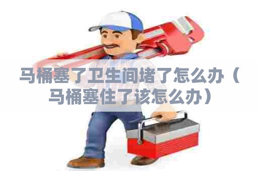 马桶塞了卫生间堵了怎么办（马桶塞住了该怎么办）