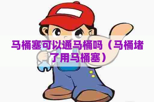 马桶塞可以通马桶吗(马桶堵了用马桶塞) 马桶塞可以通马桶吗(马桶堵了用马桶塞)