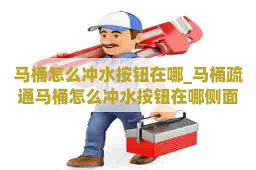 马桶怎么冲水按钮在哪_马桶疏通马桶怎么冲水按钮在哪侧面