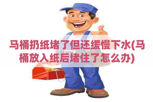 马桶扔纸堵了但还缓慢下水(马桶放入纸后堵住了怎么办)