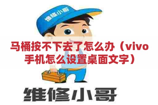 马桶按不下去了怎么办（vivo手机怎么设置桌面文字）