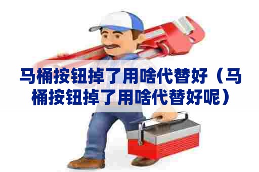 马桶按钮掉了用啥代替好（马桶按钮掉了用啥代替好呢）