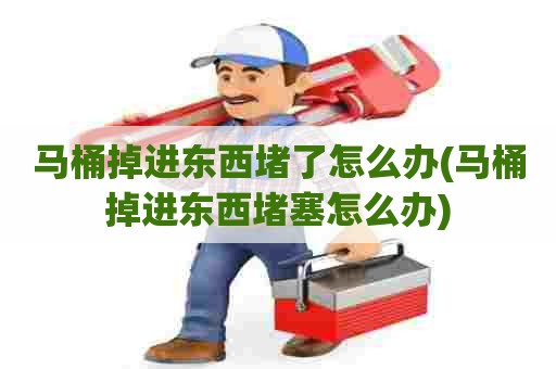 马桶掉进东西堵了怎么办(马桶掉进东西堵塞怎么办) 马桶掉进东西堵了怎么办(马桶掉进东西堵塞怎么办)