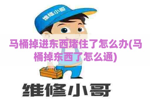 马桶掉进东西堵住了怎么办(马桶掉东西了怎么通)