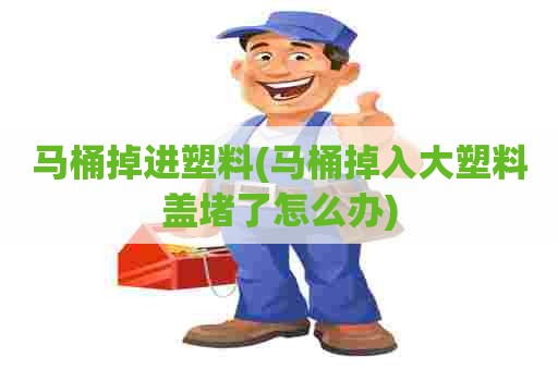 马桶掉进塑料(马桶掉入大塑料盖堵了怎么办) 马桶掉进塑料(马桶掉入大塑料盖堵了怎么办)
