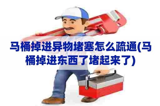 马桶掉进异物堵塞怎么疏通(马桶掉进东西了堵起来了) 马桶掉进异物堵塞怎么疏通(马桶掉进东西了堵起来了)