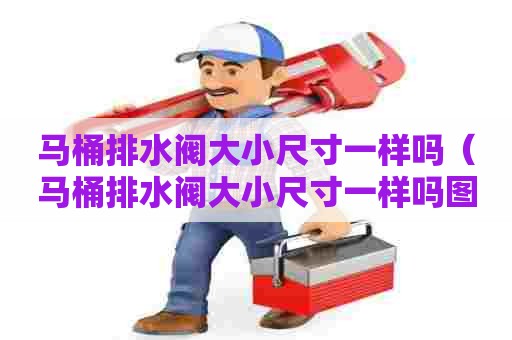 马桶排水阀大小尺寸一样吗（马桶排水阀大小尺寸一样吗图片）