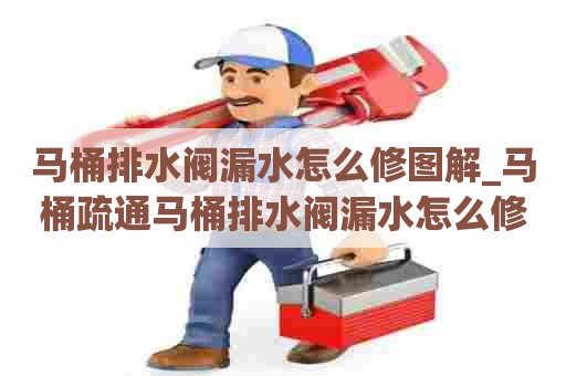 马桶排水阀漏水怎么修图解_马桶疏通马桶排水阀漏水怎么修图解法 马桶排水阀漏水怎么修图解_马桶疏通马桶排水阀漏水怎么修图解法