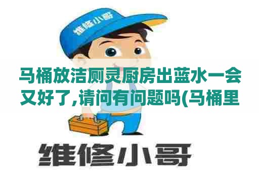 马桶放洁厕灵厨房出蓝水一会又好了,请问有问题吗(马桶里面放蓝色洁厕灵)