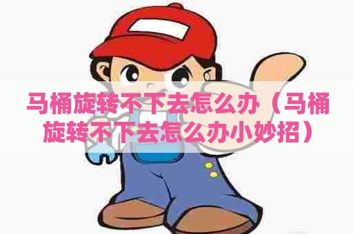 马桶旋转不下去怎么办（马桶旋转不下去怎么办小妙招）
