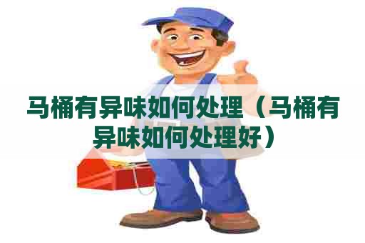 马桶有异味如何处理（马桶有异味如何处理好）