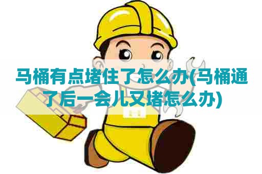 马桶有点堵住了怎么办(马桶通了后一会儿又堵怎么办)