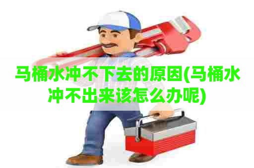 马桶水冲不下去的原因(马桶水冲不出来该怎么办呢) 马桶水冲不下去的原因(马桶水冲不出来该怎么办呢)