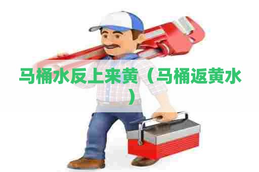 马桶水反上来黄（马桶返黄水）