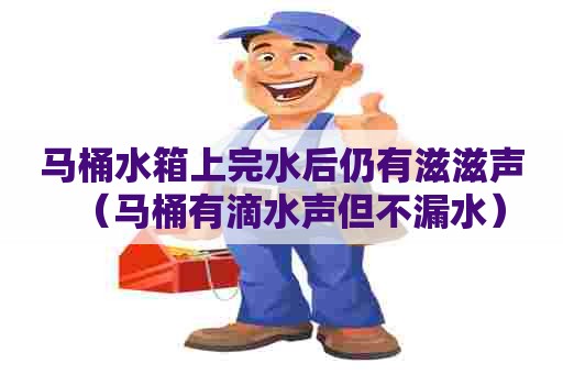 马桶水箱上完水后仍有滋滋声（马桶有滴水声但不漏水）