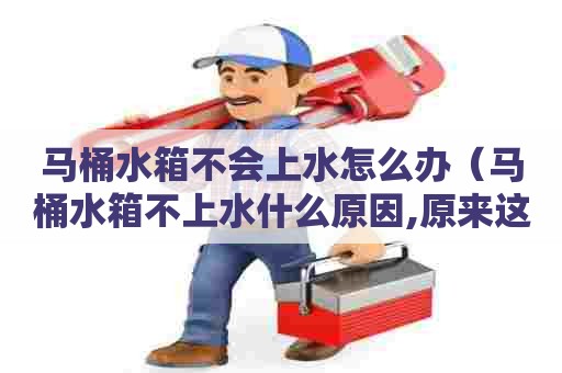 马桶水箱不会上水怎么办（马桶水箱不上水什么原因,原来这么简单,来晚了）