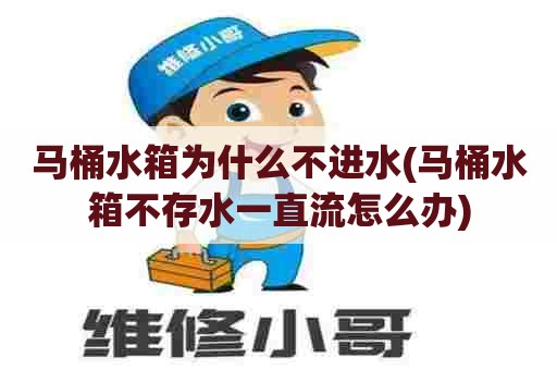 马桶水箱为什么不进水(马桶水箱不存水一直流怎么办)