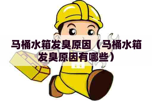 马桶水箱发臭原因（马桶水箱发臭原因有哪些）