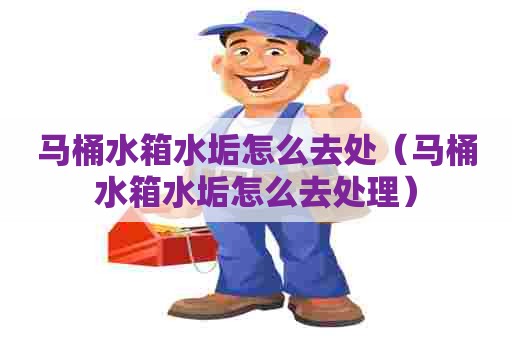 马桶水箱水垢怎么去处（马桶水箱水垢怎么去处理）