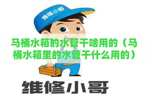 马桶水箱的水管干啥用的（马桶水箱里的水管干什么用的）