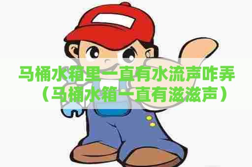 马桶水箱里一直有水流声咋弄（马桶水箱一直有滋滋声）