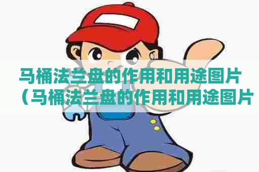 马桶法兰盘的作用和用途图片（马桶法兰盘的作用和用途图片大全）