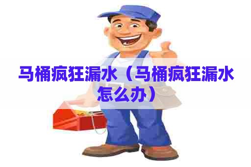 马桶疯狂漏水（马桶疯狂漏水怎么办）