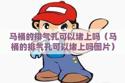 马桶的排气孔可以堵上吗（马桶的排气孔可以堵上吗图片）