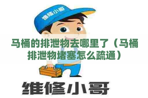 马桶的排泄物去哪里了（马桶排泄物堵塞怎么疏通）