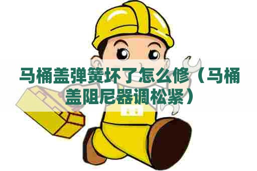 马桶盖弹簧坏了怎么修（马桶盖阻尼器调松紧）