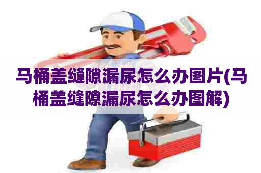 马桶盖缝隙漏尿怎么办图片(马桶盖缝隙漏尿怎么办图解)