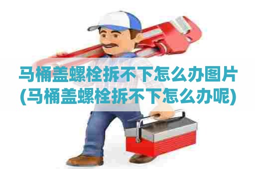 马桶盖螺栓拆不下怎么办图片(马桶盖螺栓拆不下怎么办呢)