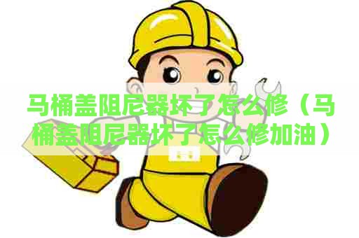 马桶盖阻尼器坏了怎么修(马桶盖阻尼器坏了怎么修加油) 马桶盖阻尼器坏了怎么修(马桶盖阻尼器坏了怎么修加油)