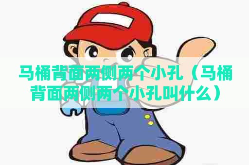 马桶背面两侧两个小孔（马桶背面两侧两个小孔叫什么）