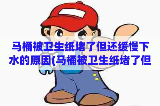 马桶被卫生纸堵了但还缓慢下水的原因(马桶被卫生纸堵了但还缓慢下水,可以慢慢通了吗) 马桶被卫生纸堵了但还缓慢下水的原因(马桶被卫生纸堵了但还缓慢下水,可以慢慢通了吗)