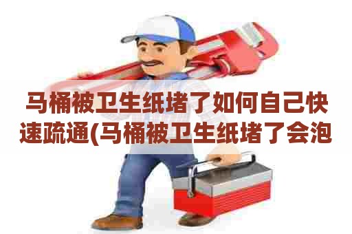 马桶被卫生纸堵了如何自己快速疏通(马桶被卫生纸堵了会泡烂吗图片)