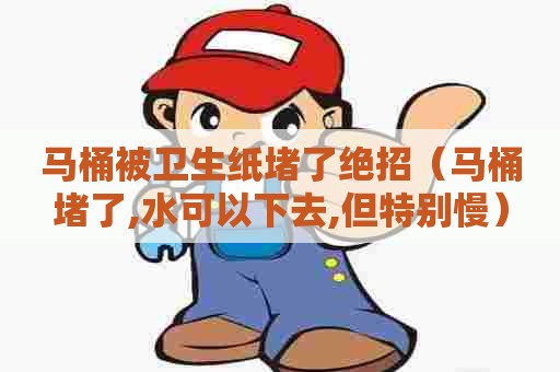 马桶被卫生纸堵了绝招（马桶堵了,水可以下去,但特别慢）