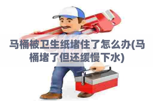 马桶被卫生纸堵住了怎么办(马桶堵了但还缓慢下水) 马桶被卫生纸堵住了怎么办(马桶堵了但还缓慢下水)