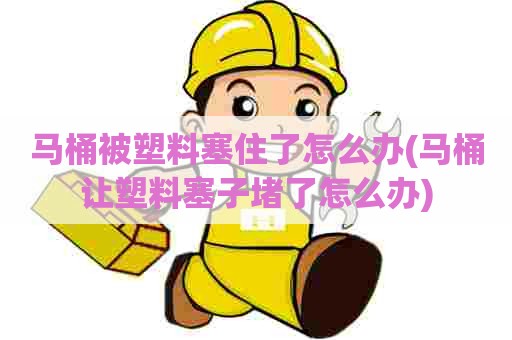 马桶被塑料塞住了怎么办(马桶让塑料塞子堵了怎么办)