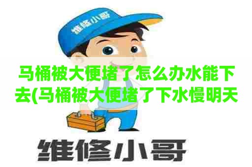 马桶被大便堵了怎么办水能下去(马桶被大便堵了下水慢明天会通吗)