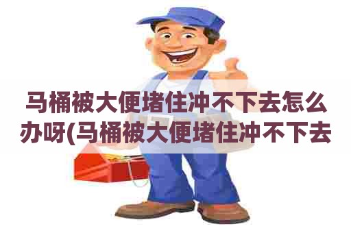 马桶被大便堵住冲不下去怎么办呀(马桶被大便堵住冲不下去怎么办小妙招)