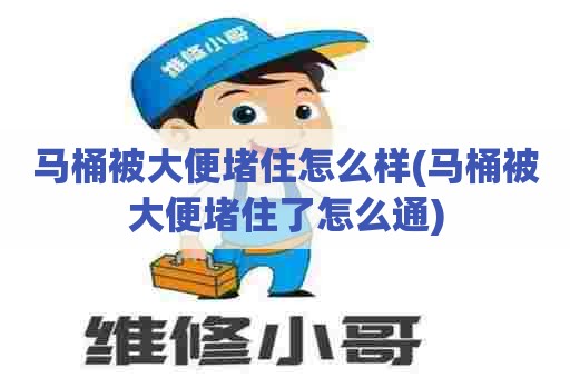 马桶被大便堵住怎么样(马桶被大便堵住了怎么通)